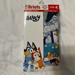 NWT Bluey underwear